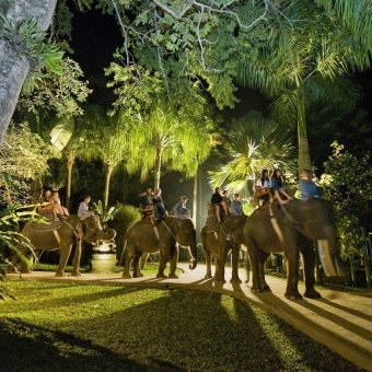 Bali Adventure Tours - Voucher Elephant Safari Ride Tour - 1 Pax Adult