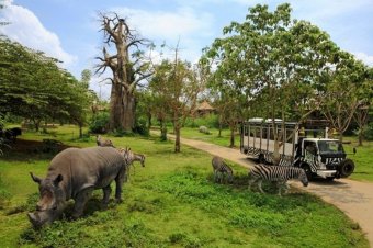 Butik Wisata Travel - Voucher Edisi Liburan Kombinasi Bali - Menikmati Bali Safari Bersama Anak