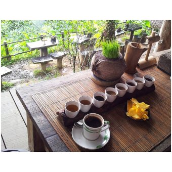 Swastika Maharani Agung Voucher Agrowisata Bali Pulina Luwak Coffee - 2 Pax