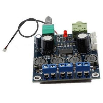 DIY Digital Amplifier Board TPA3118 12-24V
