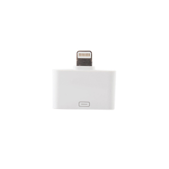 ZY-308T 30-pin Female to 8-pin Lightning Male Charging / Data Adapter for iphone5/ipad mini/ipad4 (White) - Intl