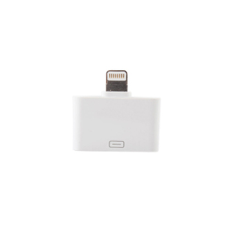 ZY-308T 30-pin Female to 8-pin Lightning Male Charging / DataAdapter for iphone5/ipad mini/ipad4 (White) - intl