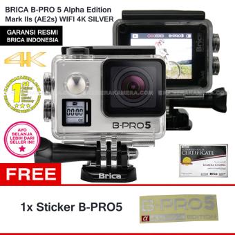 BRICA B-Pro5 Alpha Edition 4K Mark IIs (AE2s) SILVER + FREE STICKER B-PRO5