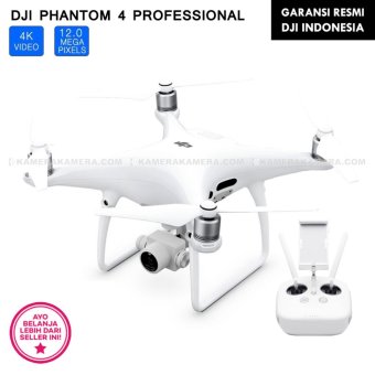 DJI Phantom 4 Professional (Video 20MP 4K)