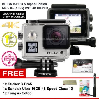 BRICA B-Pro5 Alpha Edition 4K Mark IIs (AE2s) SILVER + Sticker B-Pro + Sandisk Ultra 16Gb Speed48 Class10 + Tongsis Satoo
