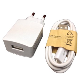 DiGbankS Sony Travel Charger Putih - 2 Ampere