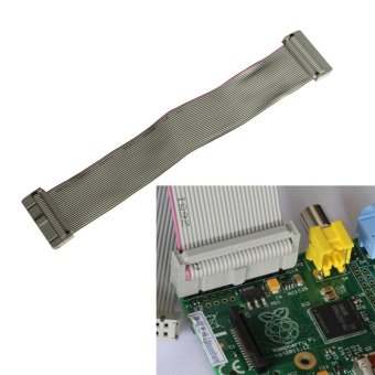 22cm 26-pin Female to Female GPIO Ribbon Data Cable for Raspberry Pi (Grey) - intl