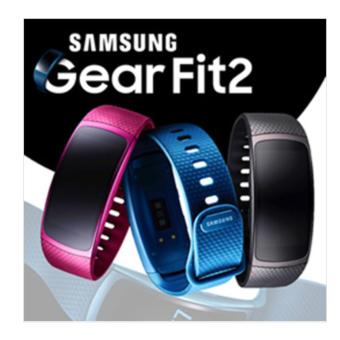 Samsung Gear Fit2 / GPS sports band / Samsung smart watch | Black | Pink | Large / Small Band - intl