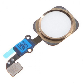 Touch ID Sensor Home Button Ribbon with Key Flex Cable Replacement Part for iPhone 6S (Gold)