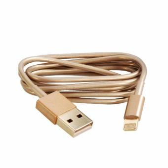 Rainbow Apple Original 8 Pin USB Data Sync & Charging Cable Cord for Apple iPhone 5 5G - Gold