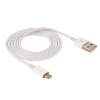 SUNSKY High Speed 8 Pin To USB 2.0 Magnetic Charging Cable For IPhone 6s 6s Plus,for Iphone 6 6 Plus,for Iphone 5 5C 5S, Cable Length: 1m(White) - intl