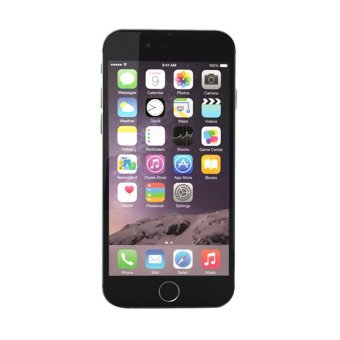 Apple iPhone 6 Plus - 64GB - Grey - Grade A