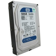 Medusa Harddisk CCTV 500 GB Sata 3,5
