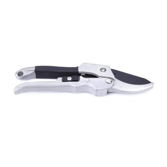 Professional SK-5 Steel Blade Sharp Anvil Pruning Garden Shears - intl