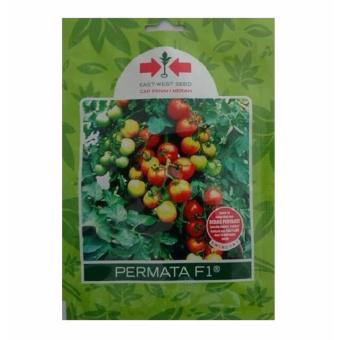Bibit Bunga Benih Panah Merah Tomat Permata F1 – 1.750 biji