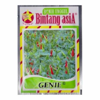 Bibit Bunga Benih Cabe Bintang Asia Rawit Genie – 10 gram