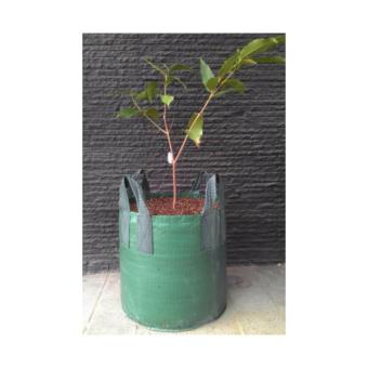 Bibit Bunga Planter Bag Hijau 100 Liter