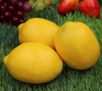 5Pcs Artificial Lemon Home Decoration High Simulated Fruits with Light Foam Material Artificial Food for Shop Photography Tool - intl