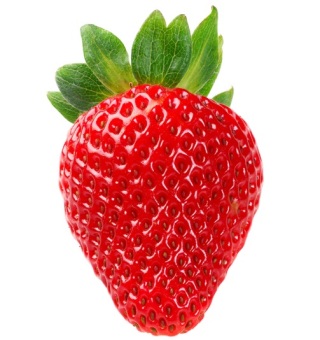Bibit Bunga Benih Red Strawberry