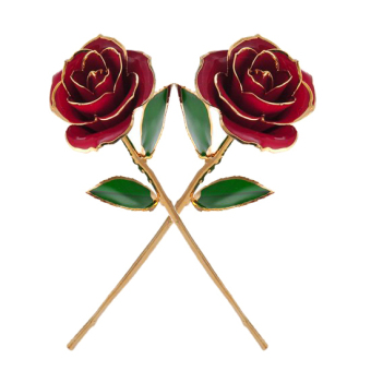 '\"''\"\"\"\"\"\"love forever Long Stem Dipped 24k Gold Foil Trim Rose, Best Gift for Valentine''''''''s Day, Mother''''''''s Day, Anniversary, Birthday Gift (red)\"\"\"\"'''' - Intl\"\"''\"'(not defined)