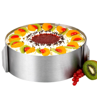 Adjustable 4inchs Mousse Cake Ring Stainless Steel Cake Circle Mould Cake Mould Cake Decoration Baking Tools Bakeware - intl