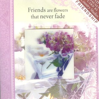 SF1 Kartu Ucapan 3D Magnet - Friends Are Flowers That Never Fade