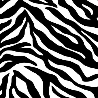 Selimut Rosanna King Sutra Panel 180x200 Zebra