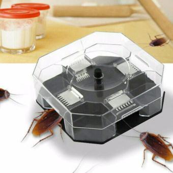 Perangkap Kecoa Serangga Hama Penangkap Ramah Lingkungan Cockroach Killer
