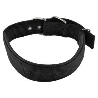 360DSC Super Comfort Adjustable Foam Cotton Pet Dog Collar - S Black (Intl)