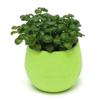 Jetting Buy 7*6.5cm Round Plastic Flower Pot Plant Planter Garden Home Office Decor Green