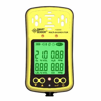Smart Sensor AS8900 Digital Oxygen/Hydrothion /Carbon Monoxide /Combustile Gas Detector 4 in1 O2 /H2S / CO Multi Gas Tester - intl
