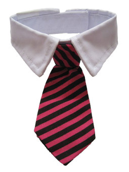 louiwill Dog Cat Pet Stripe Bow Tie Neck Tie with White Collar (Red Black Stripes,M)