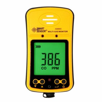 Smart Sensor AS8903 Handheld Hydrothion H2S Carbon Monoxide CO Gas Detector Monitor 2in1 - intl