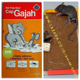 Papan Lem Perangkap, Penjebak, Pembasmi Hama Tikus Cap Gajah - Rat Trap Glue 70 gram
