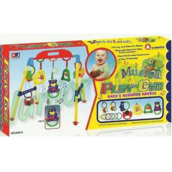 Playgym Set with Music and Light