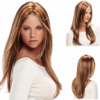 Wig Rambut Palsu Model Long Straight Hair - Coklat Emas