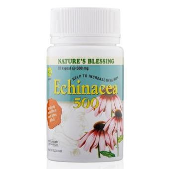 SidoMuncul Nature's Blessing Echinacea 500 Mg 30's - Sido Muncul, Meningkatkan Daya Tahan Tubuh, mencegah dan Mengobati Flu, Sinusitis, Bronkitis