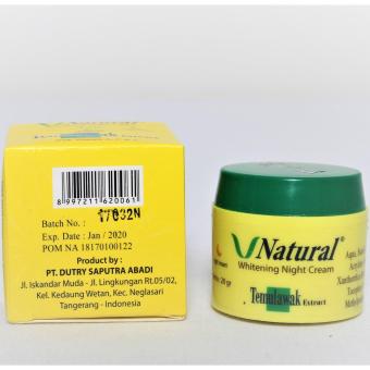 V Natural Temulawak Extract Night Cream Original 20gr Terdaftar BPOM