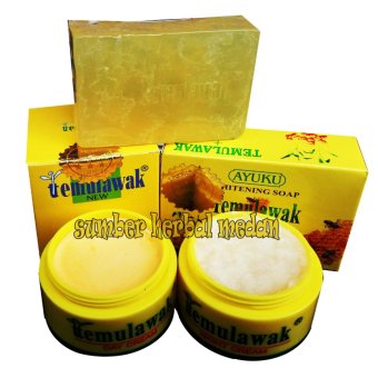 Temulawak Hologram Emas Original Paket Cream Siang&Malam Plus Sabun Madu