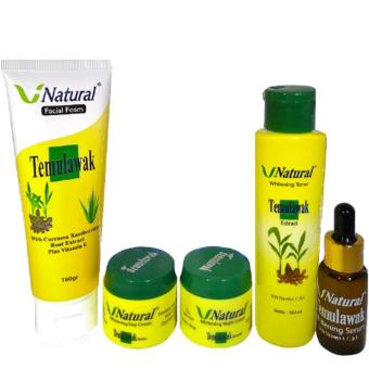 Natural Temulawak Extract Paket Pemutih Wajah ASLI BPOM / Cream Day & Night, Toner, Facial Foam, Serum.