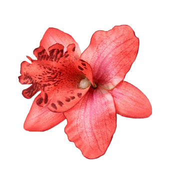 Velishy Orchid Flower Hair Clip (Red)