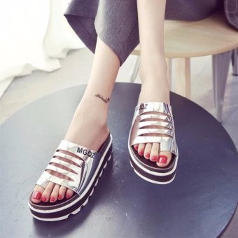 2017 Spring Summer Women's Heeled Sandal Platform Shoes Fashion Beach Shoes Clip-toe Slipper Flip Flops Silver - intl  