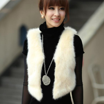 Cyber Low Price Faux Fur Vest Gilet Waistcoat Hot ( Beige ) - intl  