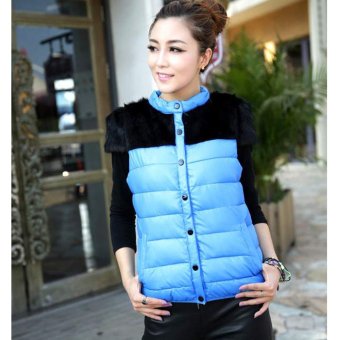 Cyber Winter Women Warm Synthetic Leather Stand Collar Coat Short Sleeve Faux Mink Fur Jacket Thicken Down Cotton Padded Vest Cardigan Outwear (Blue)  