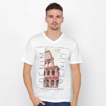 Fancy Fox COLLOSEUM Graphic T-Shirt
