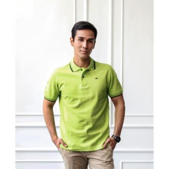 Crocodile Men Polo Shirt - Light green - Dark Green Striped Collar L