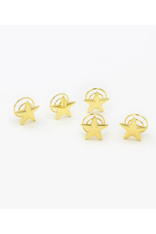 Buytra Women Hair Pins Lovely Star Set of 5 (Gold)