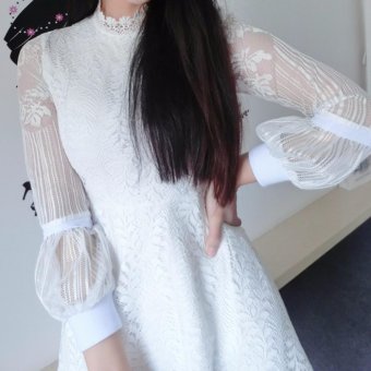 Cocoepps 2017 New Korean Style Lace Bodycon Dresses Plus size Sexy dress White - intl