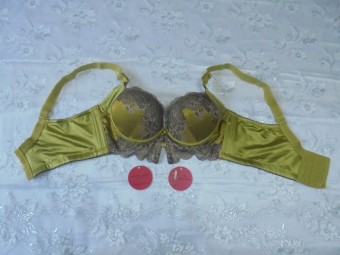 Love Secret Sexy Lace Satin Bra ~ Lace Green (Size A/B) 8102  