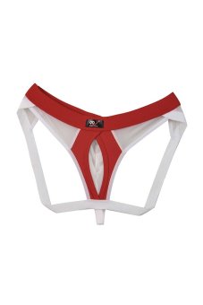 Men's Super Sexy Strech Mesh Thong See-through T-Back Novelty Brief Underwear White  